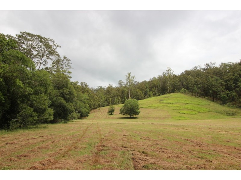 Kindee NSW 2446
