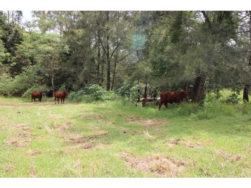 Kindee NSW 2446