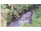 1715 Kangaroo Flat Road, Yarrowitch NSW 2354