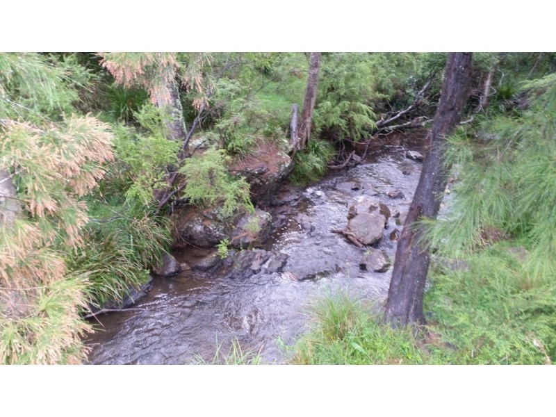 Land Kangaroo Flat Road, Yarrowitch NSW 2354