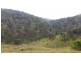 Land Kangaroo Flat Road, Yarrowitch NSW 2354