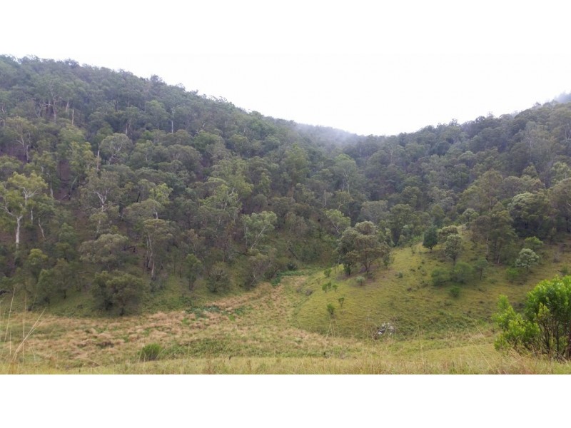 Land Kangaroo Flat Road, Yarrowitch NSW 2354
