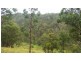 Land Kangaroo Flat Road, Yarrowitch NSW 2354