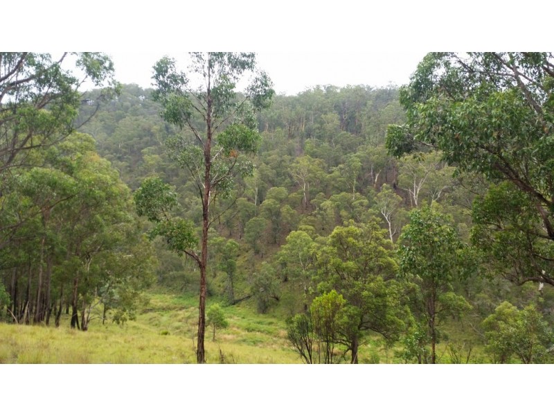 Land Kangaroo Flat Road, Yarrowitch NSW 2354