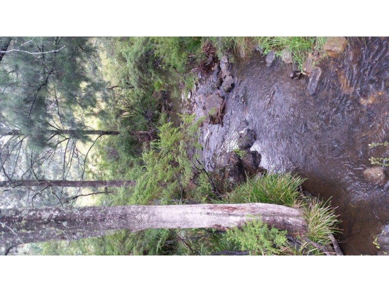 Land Kangaroo Flat Road, Yarrowitch NSW 2354