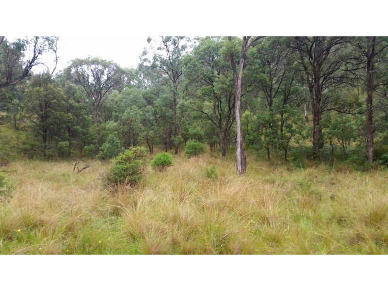 Land Kangaroo Flat Road, Yarrowitch NSW 2354