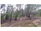 Land Kangaroo Flat Road, Yarrowitch NSW 2354