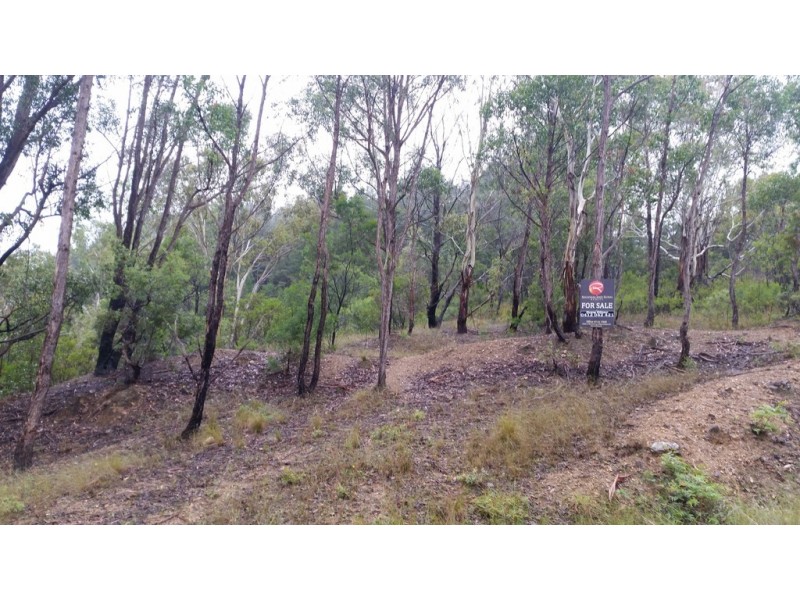 Land Kangaroo Flat Road, Yarrowitch NSW 2354