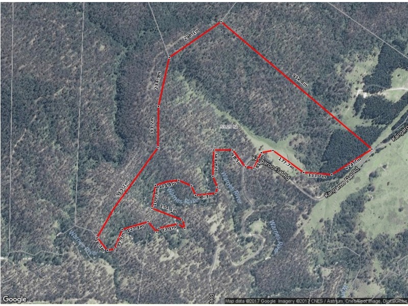 Land Kangaroo Flat Road, Yarrowitch NSW 2354 Floorplan