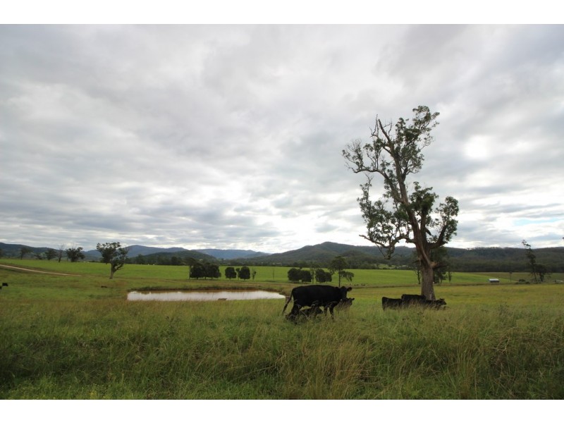 Ellenborough NSW 2446