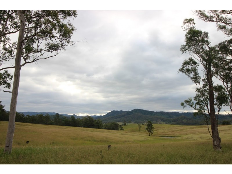 Ellenborough NSW 2446