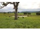 Ellenborough NSW 2446