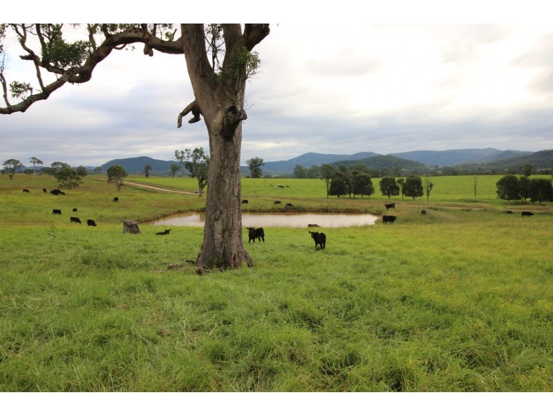 Ellenborough NSW 2446