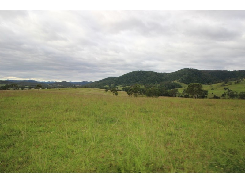 Ellenborough NSW 2446