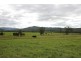 Ellenborough NSW 2446