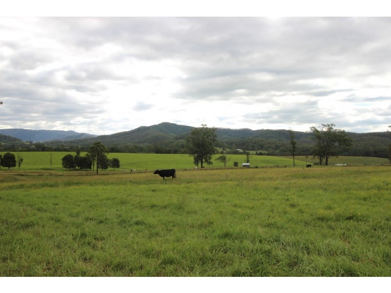 Ellenborough NSW 2446