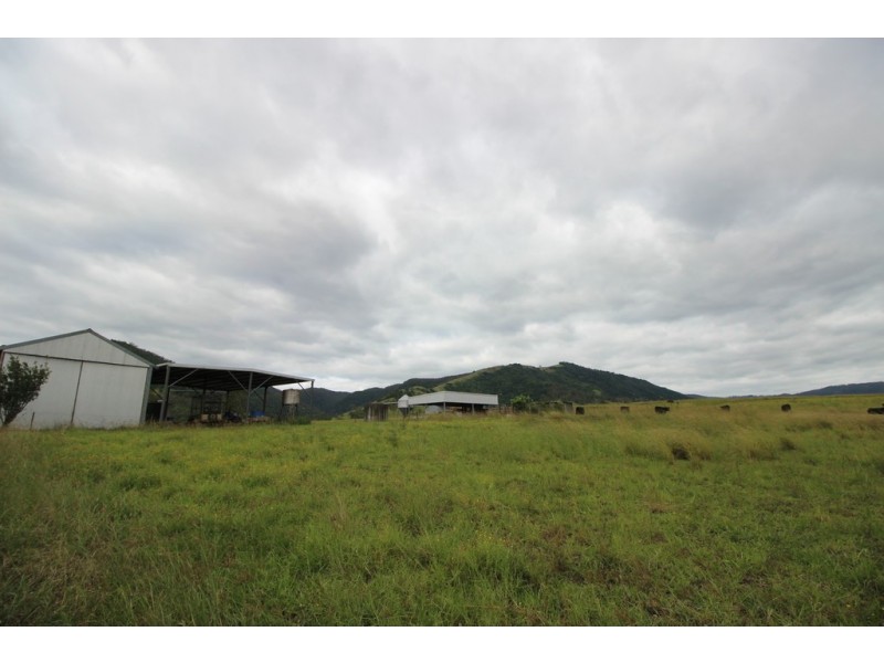 Ellenborough NSW 2446