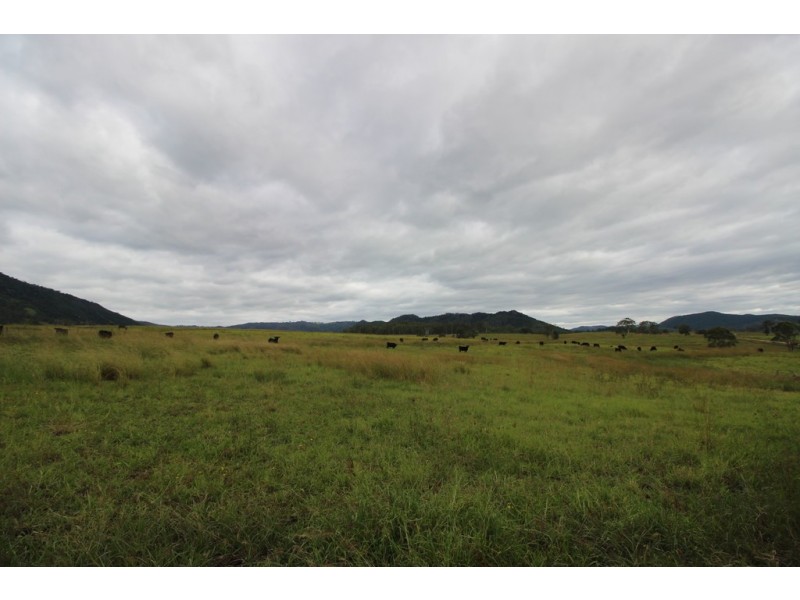 Ellenborough NSW 2446