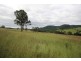Ellenborough NSW 2446