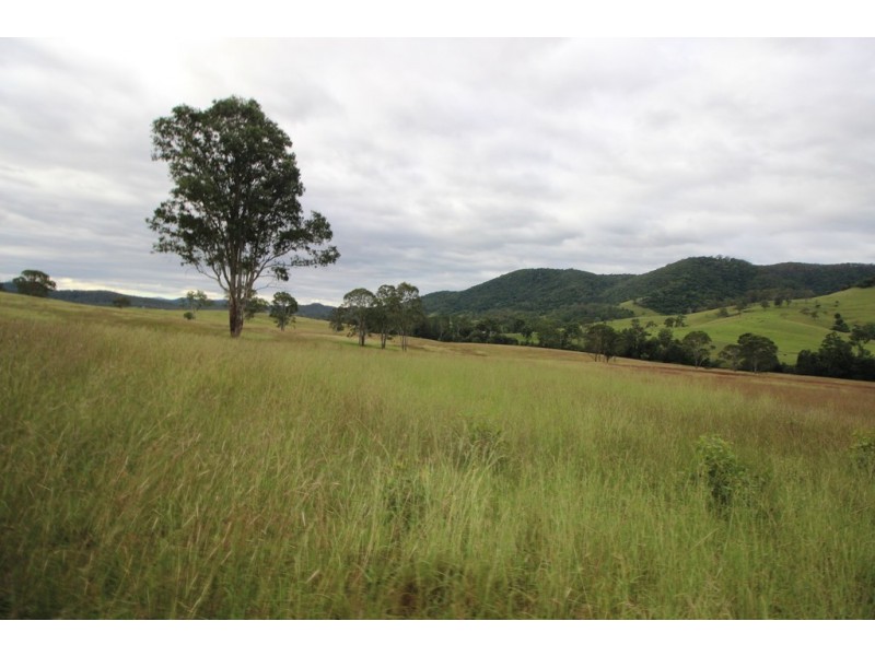 Ellenborough NSW 2446