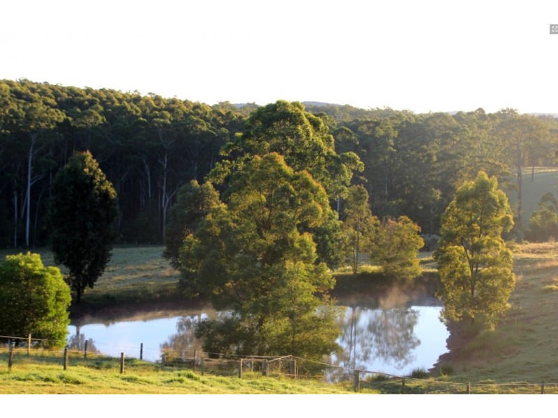 - Orara Lane, Mortons Creek NSW 2446