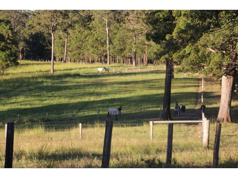 - Orara Lane, Mortons Creek NSW 2446