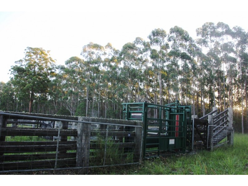 - Orara Lane, Mortons Creek NSW 2446