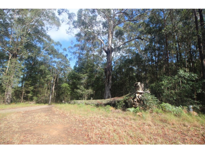 Telegraph Point NSW 2441