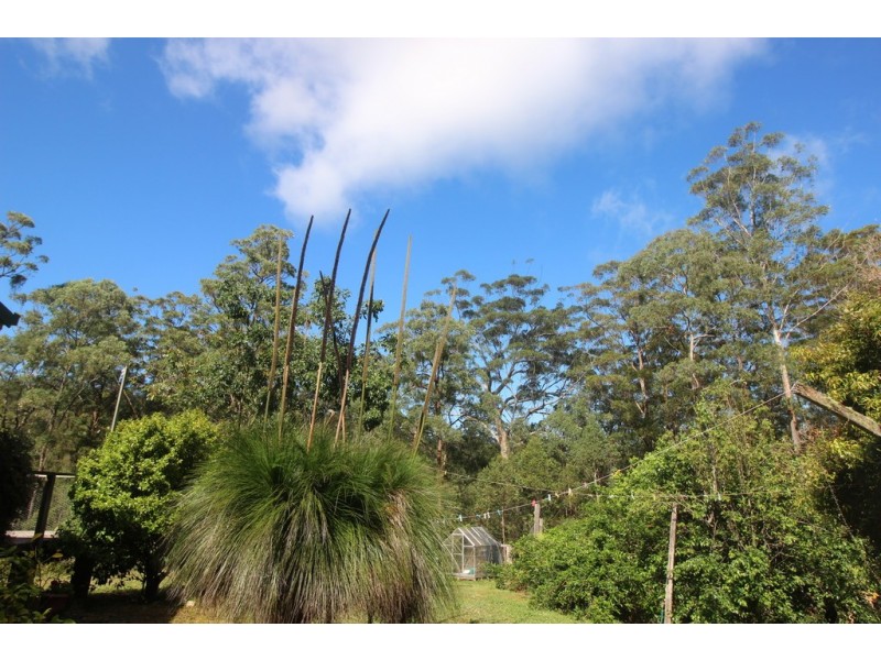 Telegraph Point NSW 2441