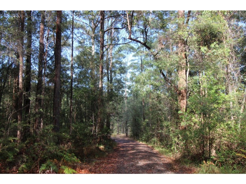 Telegraph Point NSW 2441