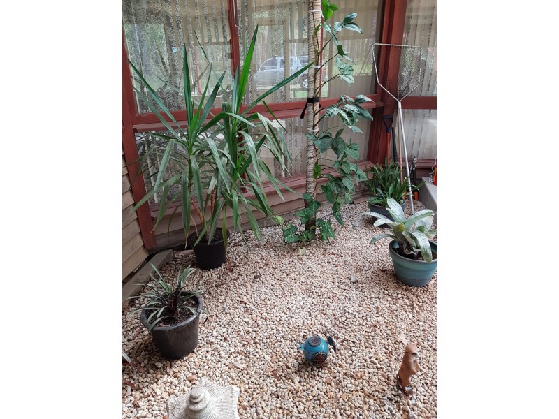 221 Crowther Dr, Kundabung NSW 2441