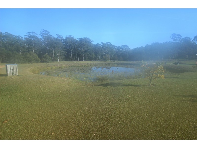 70 Old King Creek Rd, King Creek NSW 2446