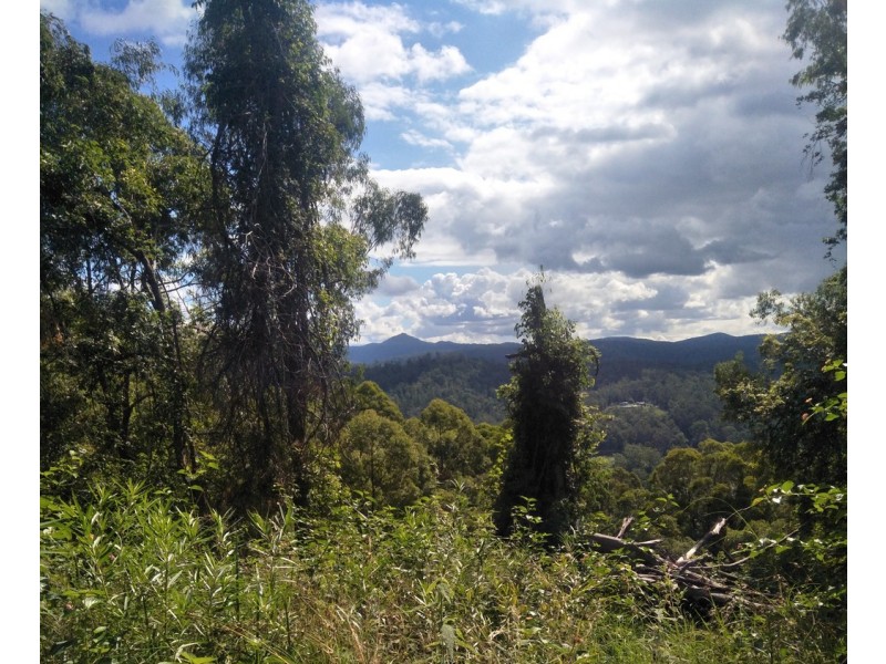 Lot 178 The Old Coach Rd, Kendall NSW 2439