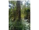 Lorne NSW 2439