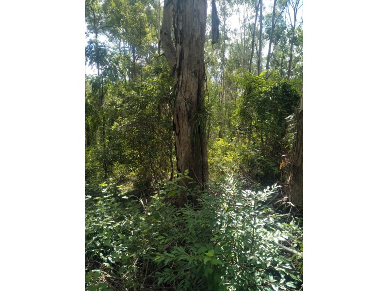 Lorne NSW 2439