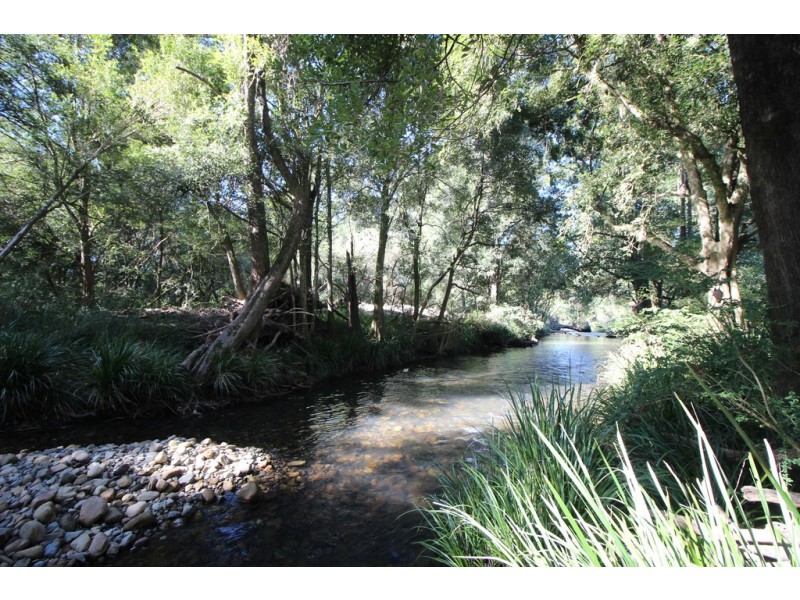 444 Upper Rollands Plains Road, Upper Rollands Plains NSW 2441
