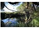 444 Upper Rollands Plains Road, Upper Rollands Plains NSW 2441