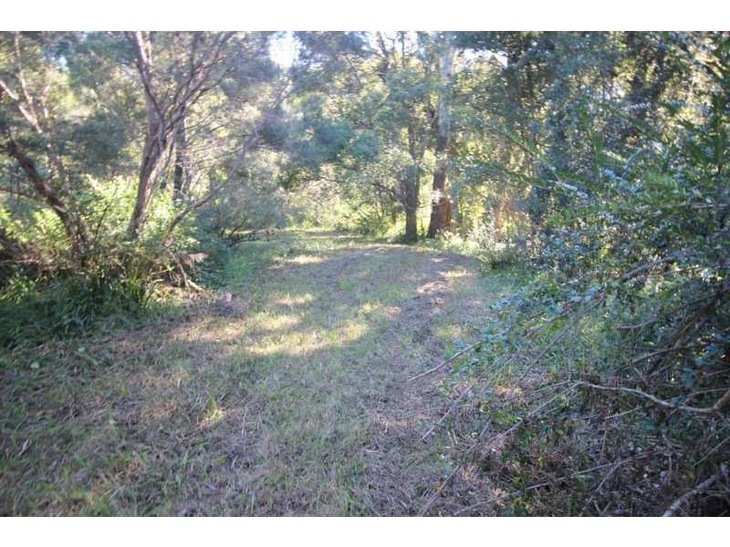 444 Upper Rollands Plains Road, Upper Rollands Plains NSW 2441