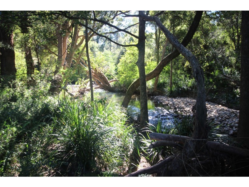 444 Upper Rollands Plains Road, Upper Rollands Plains NSW 2441