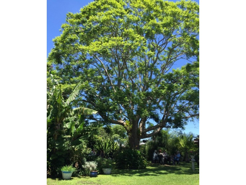 34 Hannam Vale Rd, Moorland NSW 2443