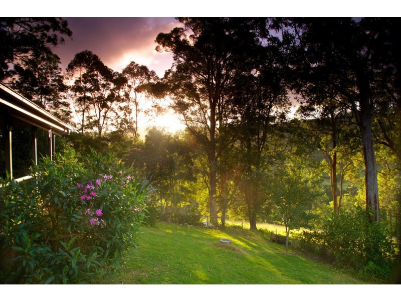 Upsalls Creek NSW 2439