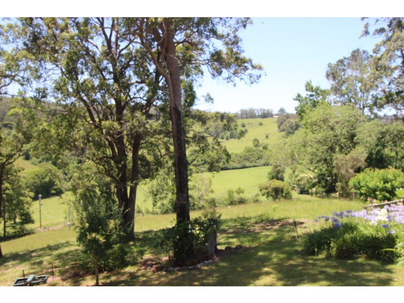 Upsalls Creek NSW 2439