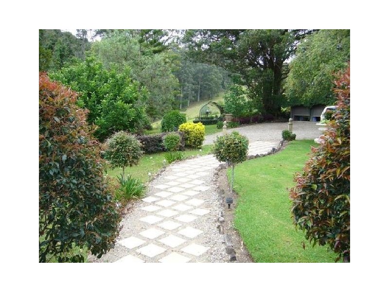 Upsalls Creek NSW 2439