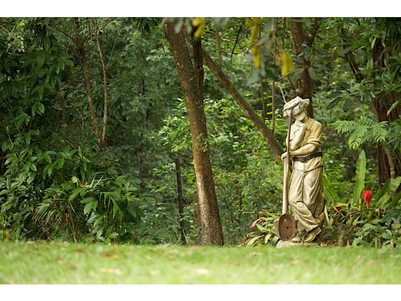 Upsalls Creek NSW 2439