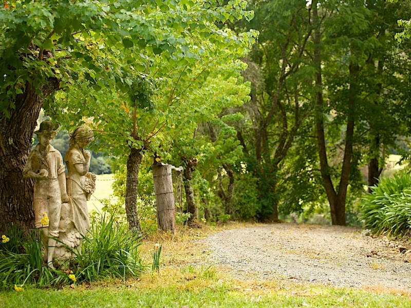 Upsalls Creek NSW 2439