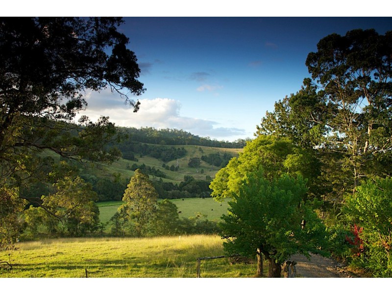 Upsalls Creek NSW 2439