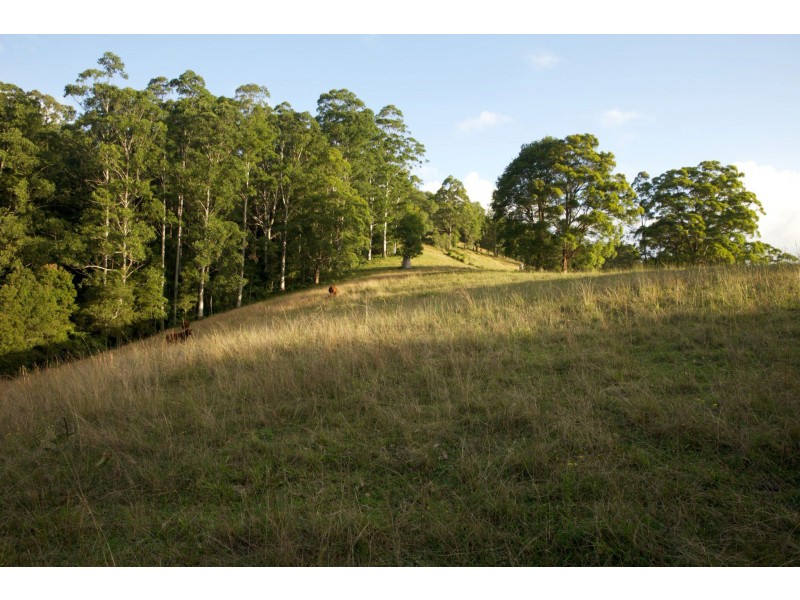 Upsalls Creek NSW 2439