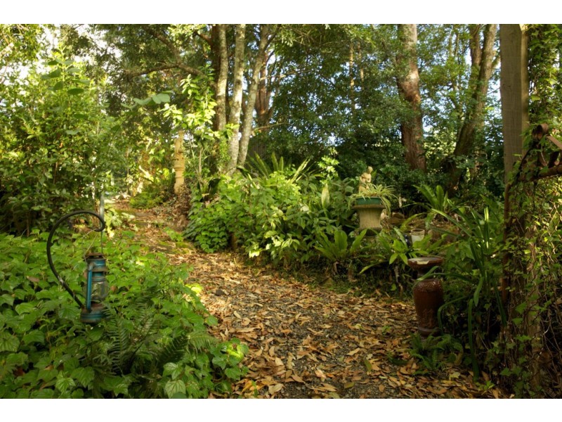 Upsalls Creek NSW 2439