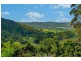 90 The Ridge Way, Black Creek Via, Lorne NSW 2439