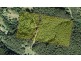 90 The Ridge Way, Black Creek Via, Lorne NSW 2439